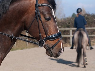 Passeggiata a Cavallo e Cucina Romana (1h)
