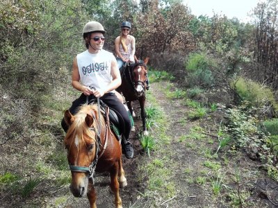 Passeggiata romantica a cavallo a Zafferana Etnea