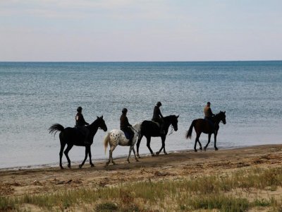 Passeggiata a cavallo in spiaggia Grosseto (2,30h)