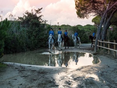 Escursione a cavallo bosco/spiaggia Grosseto (2h)