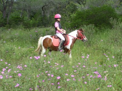 Passeggiata a cavallo per famiglie (1h)