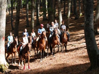 Team Building multiavventura (cavallo e quad)