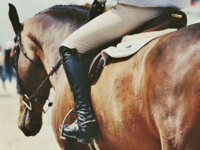 Giornata a cavallo a Roma Nord con pranzo incluso