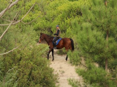 A cavallo nella Pineta del Tombolo 1 ora