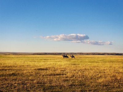 Escursione a cavallo per esperti di 3 ore