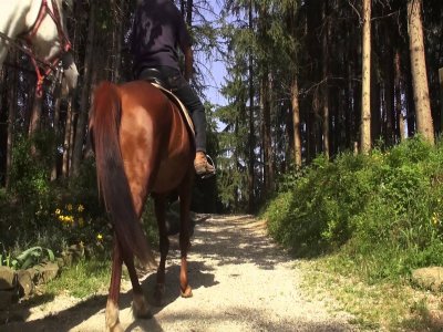 Lezione di Equitazione a Ragusa
