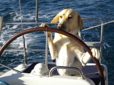Vela Charter Cazzalaranda Yachting
