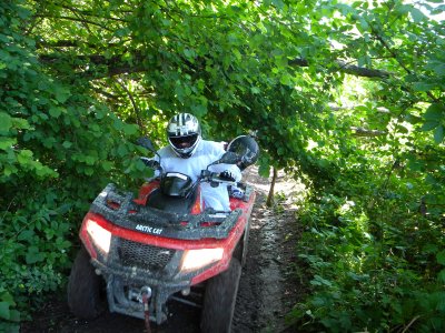 Noleggio Quad ad Alessandria Offerta EASY