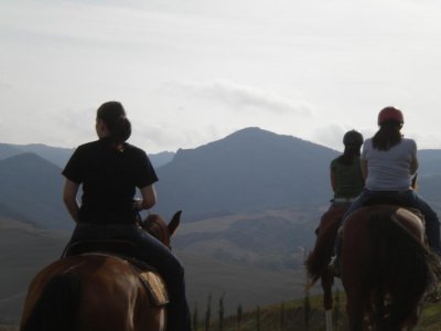 Passeggiata a cavallo 2 ore e 30 minuti a Volterra