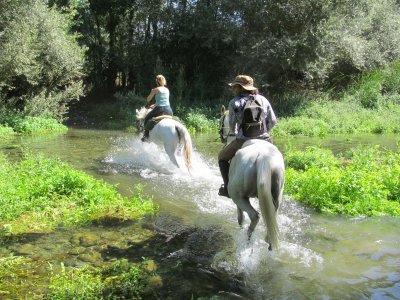 Gita a cavallo alle Gole dell'Alcantara in Sicilia