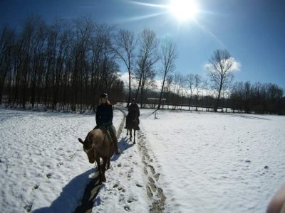 Passeggiata a cavallo nel Parco del Ticino (1h)