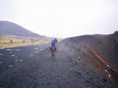 Passeggiata a cavallo 1 ora Etna Catania