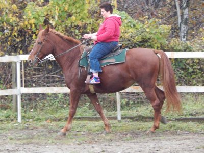Passeggiata a cavallo di 1 ora a Solbiate