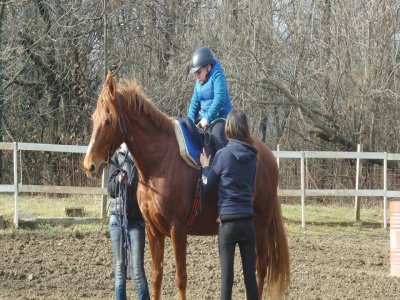 Passeggiata a cavallo di 3 ore a Solbiate