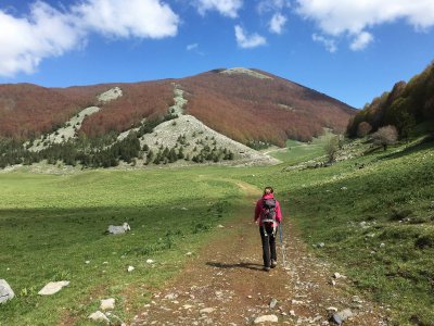 Trekking Monte del Pollino 2248 metri (difficile)