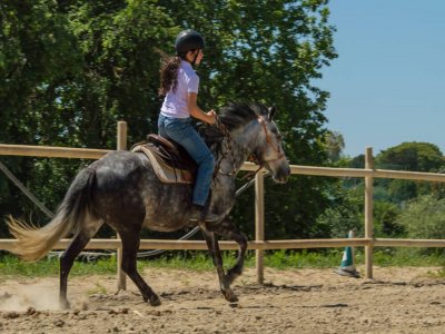 Passeggiata a cavallo di due ore a Lungotevere