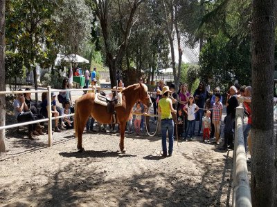 Passeggiata a cavallo due ore a Trastevere+brunch
