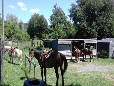 Escursione a cavallo+ 2 notti in fattoria, Gubbio
