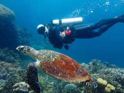 Battesimo del mare (3h), Parco Marino di Tavolara