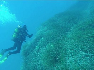 Immersione singola Grotta Azzurra