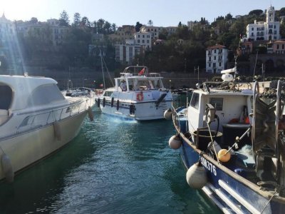 Noleggio Ancora 44 mezza giornata a Bordighera