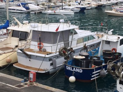 Noleggio Ancora 44 intera giornata a Bordighera