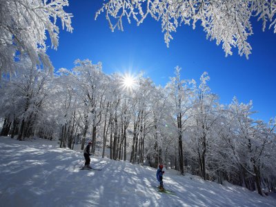Ciaspolata e noleggio sci, Monte Amiata+soggiorno