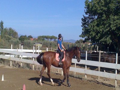 Lezione a cavallo di un'ora a Grosseto per tutti