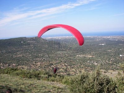Al Fly