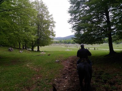 Trekking a cavallo (1gg), Tagliacozzo