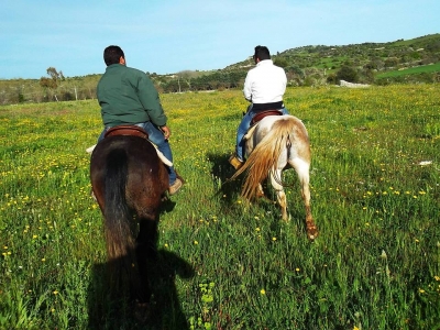 Passeggiata a cavallo (1h), Siracusa