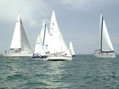 Blumare