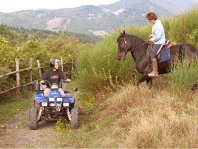 Equitazione 1 lezione a Montieri