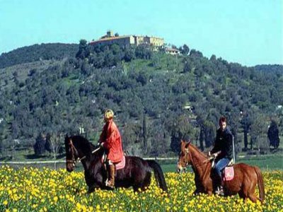 Passeggiata a cavallo 1h Montieri