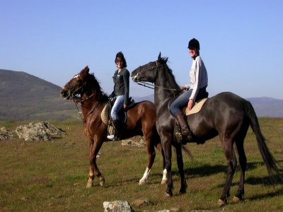 Passeggiata a cavallo con messa in sella a Venezia