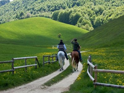 Tour a cavallo a Venezia per esperti 1 giornata