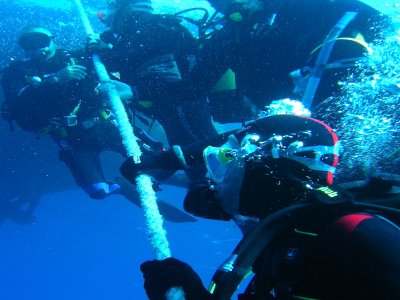 H2O Dive