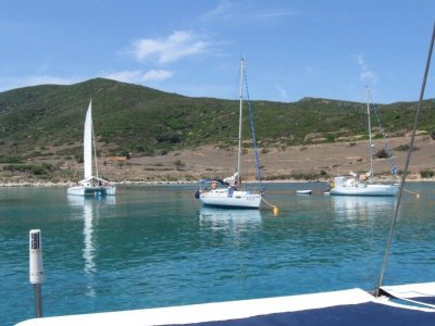 Asinara Viva