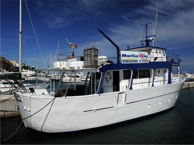 Marlin One