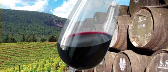 Assaporando il vino