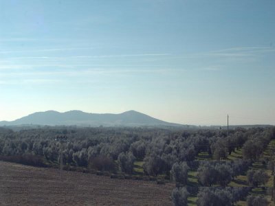 Agriturismo Casale Bonaparte Caccia