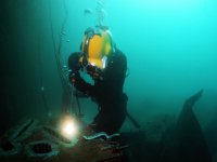  Permanece bajo la superficie del mar 