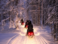  s'aventurer dans les bois