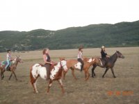 The horses of the Brionna Ranch 