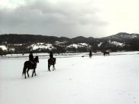  Randonnée à cheval dans la neige dans les Abruzzes