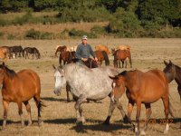 Cours d'équitation L Aquila 