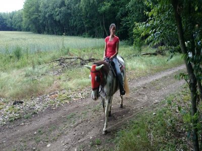 Un'ora a cavallo + grigliata nel Parco del Ticino