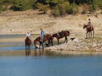 Une journée à cheval au lac de montagne de Split 