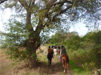 Walk in the Maremma 