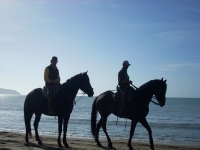  to the sea on horseback, it's different